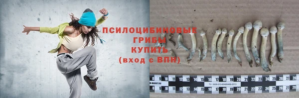 a pvp Горнозаводск