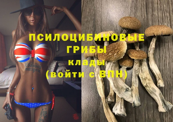 a pvp Горнозаводск