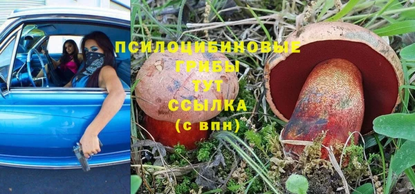 трава Горняк