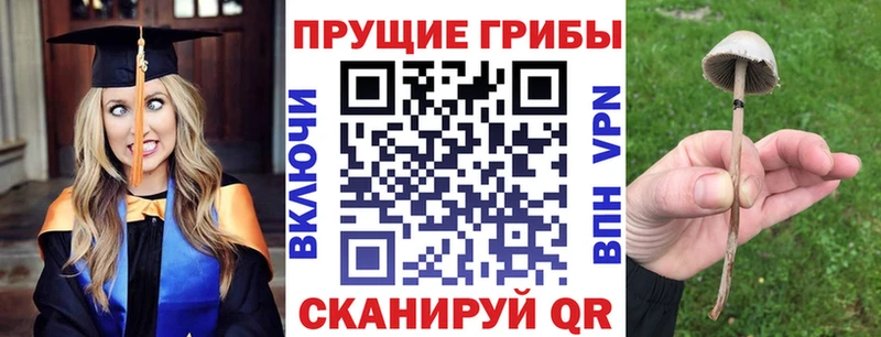 Псилоцибиновые грибы Magic Shrooms  Облучье 